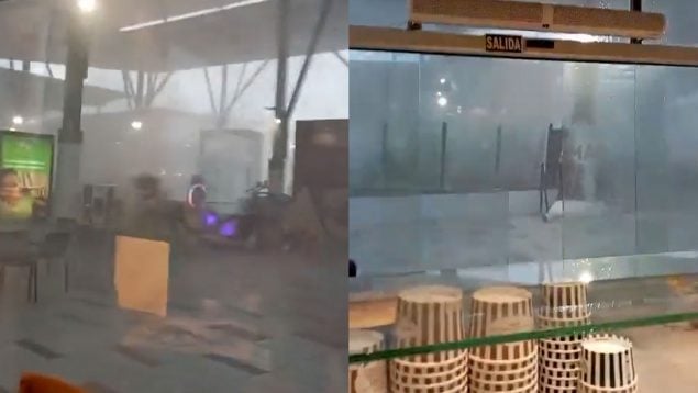 Ver vídeo
