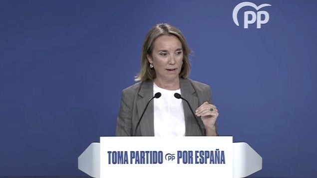 Ver vídeo