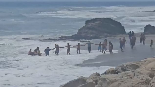 Ver vídeo