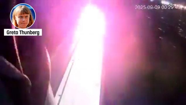 Ver vídeo