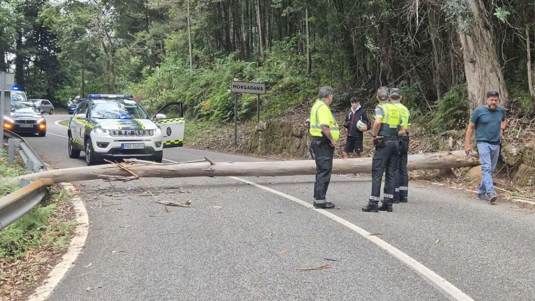 Los radicales propalestinos talaron un árbol y lo colocaron en la carretera para detener la etapa