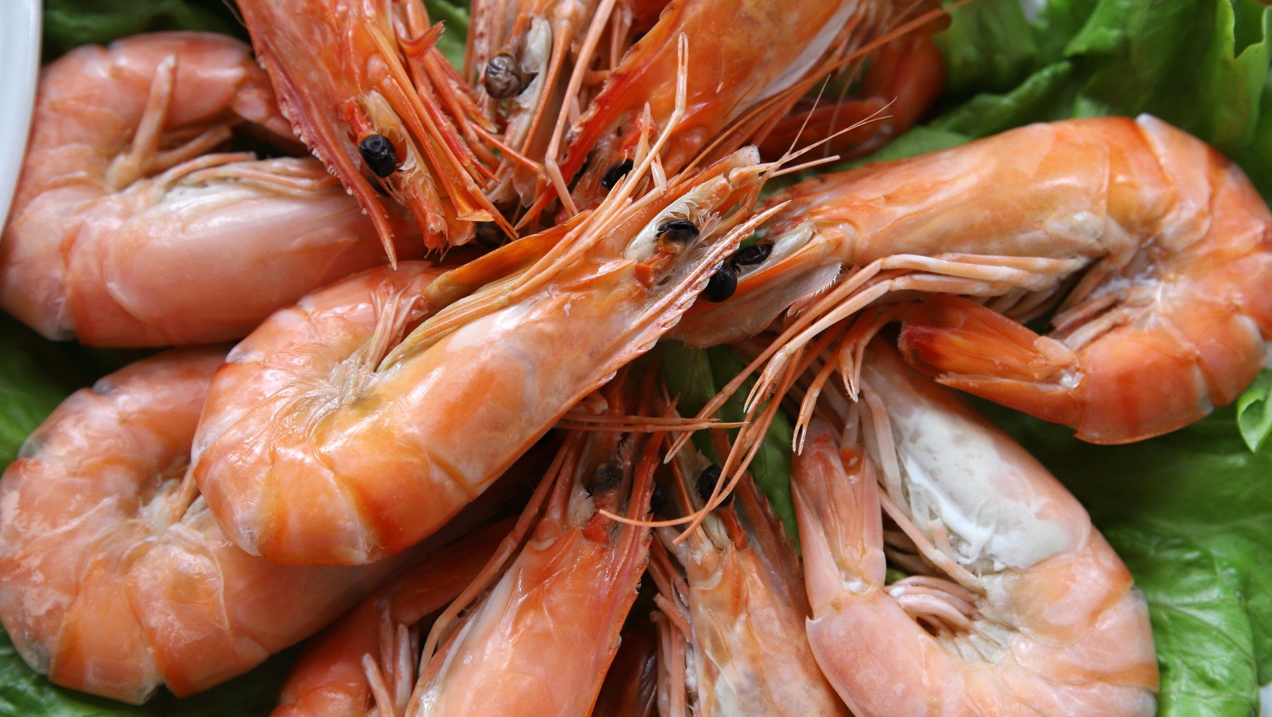 Langostinos cocidos.