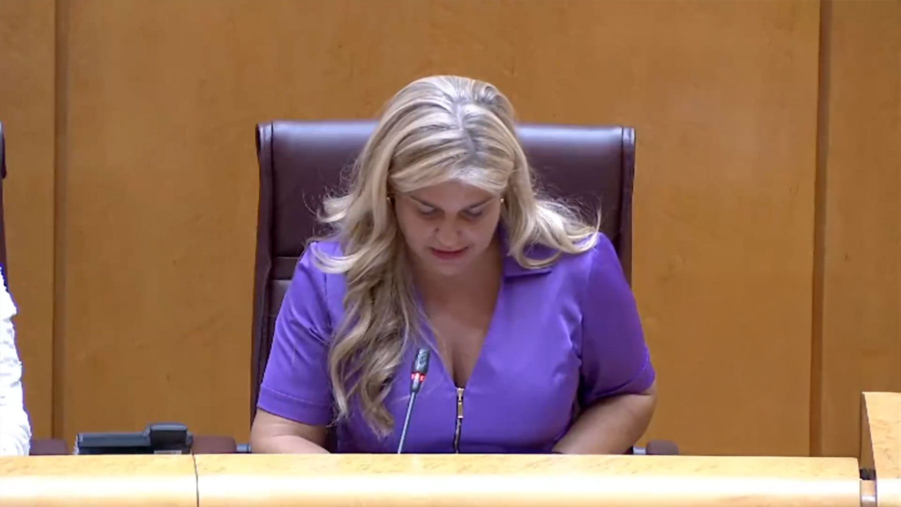 Insólito: el Senado pasa lista al Gobierno para poner en la picota a los ministros ausentes