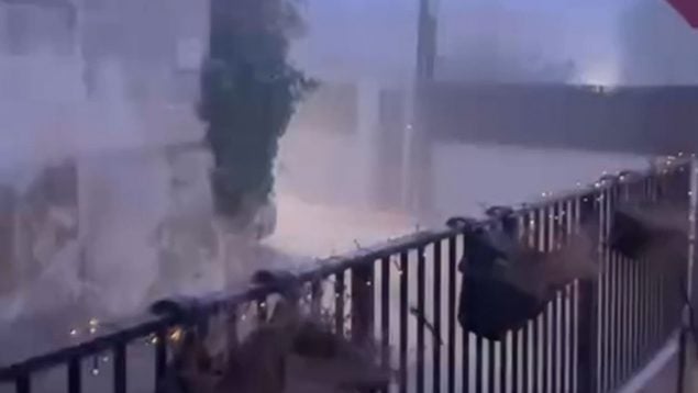 Ver vídeo
