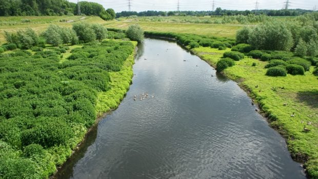 La naturaleza ha vuelto al Emscher, el que fuera uno de los ríos más contaminados de Europa. 