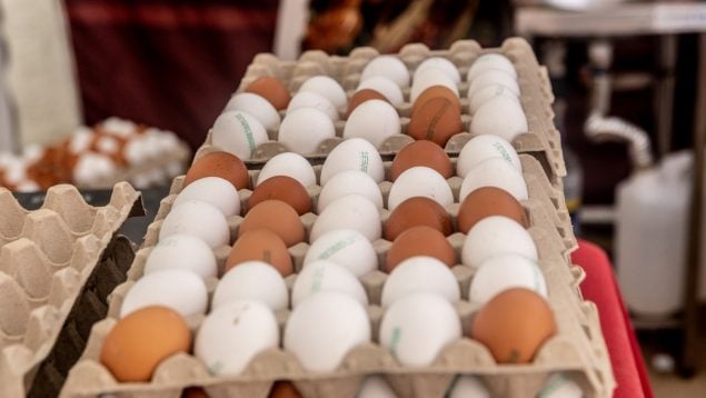 huevos
