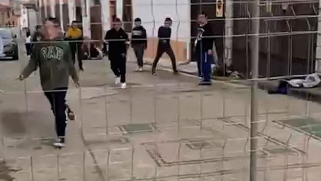 Ver vídeo
