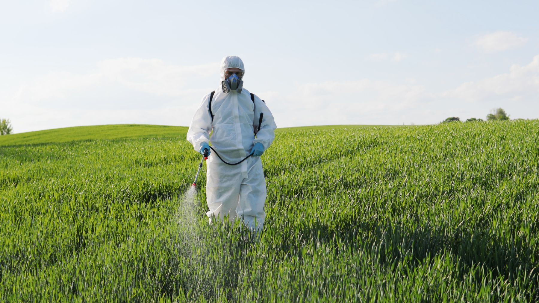 Operario fumigando pesticidas tóxicos sobre cultivos.