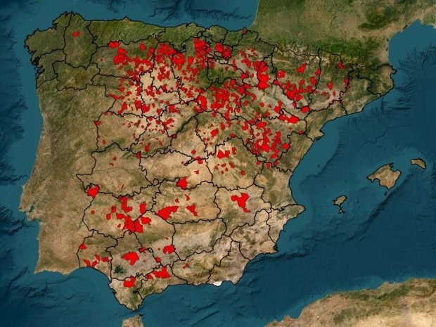Mapa censo codorniz cazadores