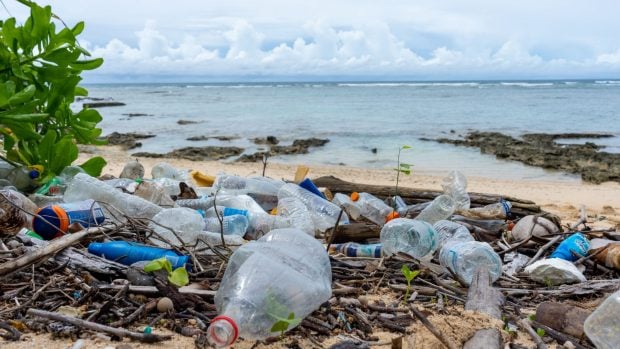 Plastiglomerado: la contaminación por plástico ha creado este nuevo material que parece una roca
