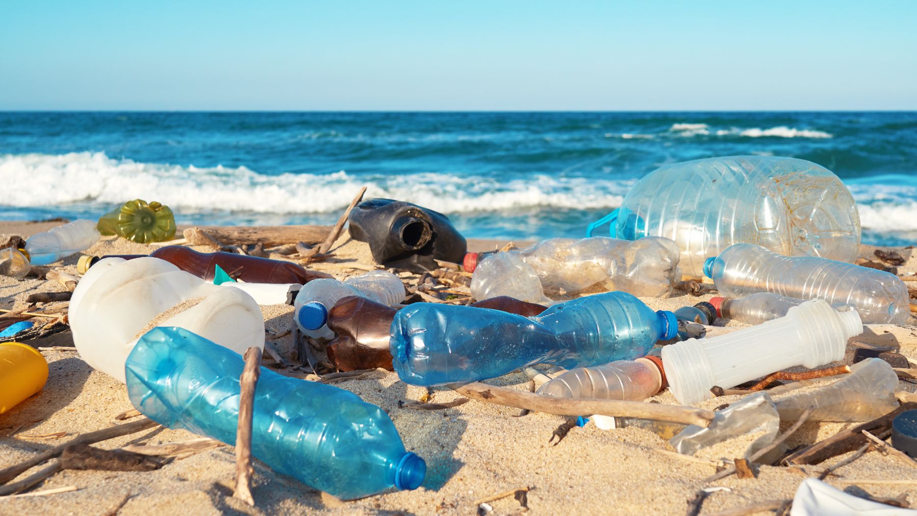 La contaminación por plástico de nuestras playas y océanos es un problema medioambiental de primer orden.