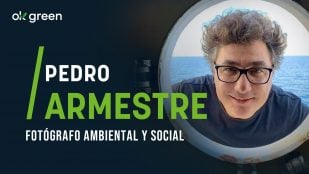 Pedro Armestre