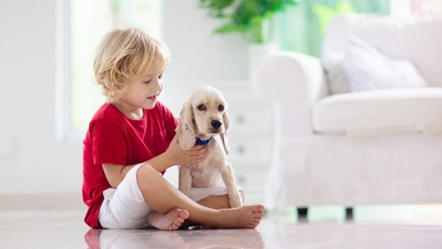 Mascotas y niños
