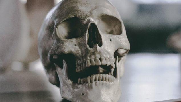 Hallazgo arqueológico en Madrid, descubrimientos arqueológicos en Madrid, descubrimiento arqueología Quijote, El Quijote en Madrid, hallazgo de 90 cráneos humanos en Madrid.