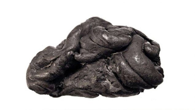 mujer de hace 5700 años