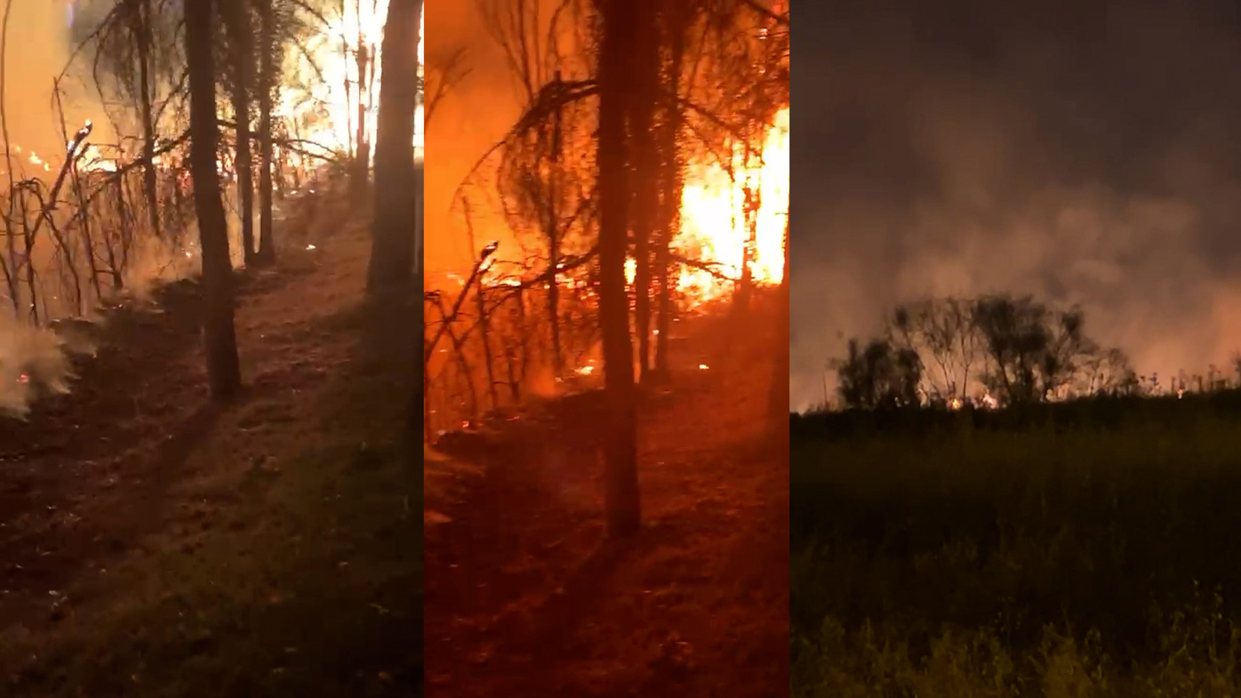 Un incendio cerca de la M-40 sorprende a los vecinos de Hortaleza y moviliza a 5 dotaciones de bomberos