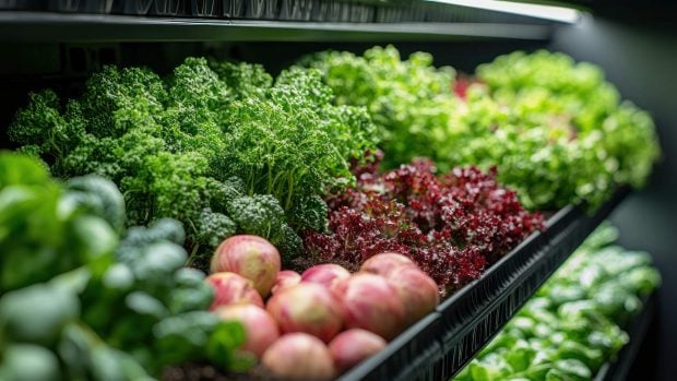 vegetales en el súper