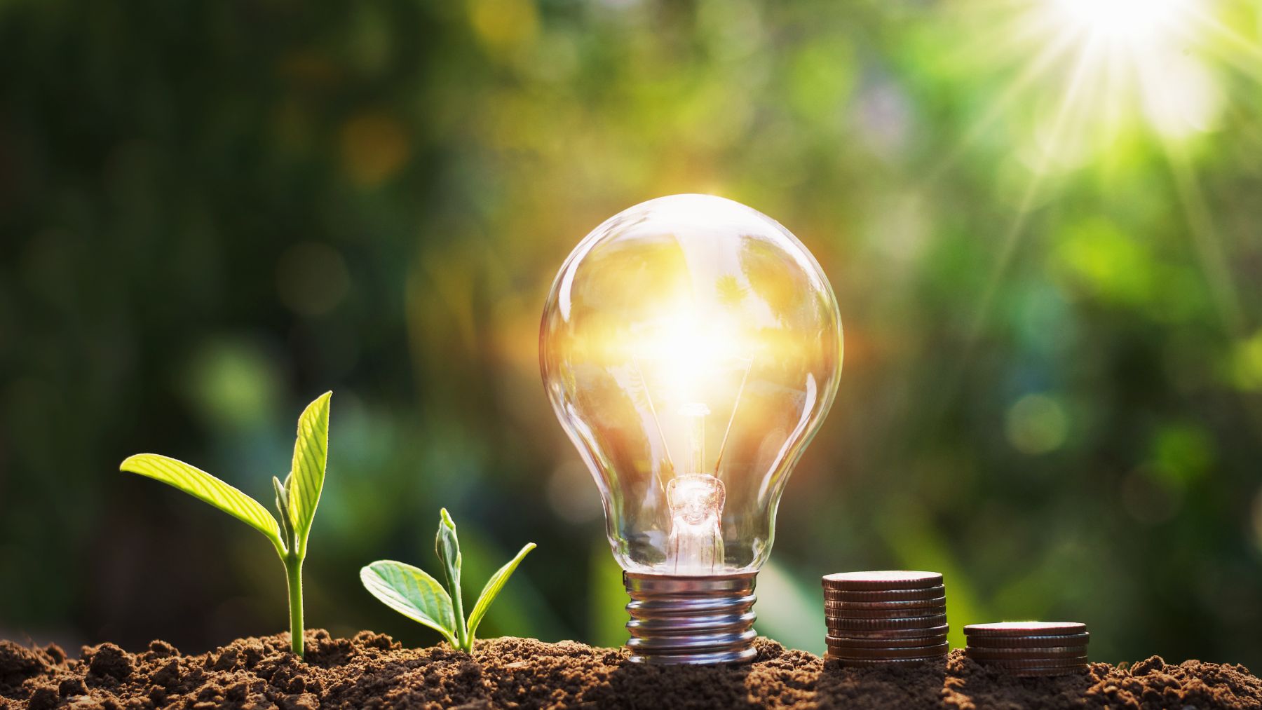 El Día Mundial del Ahorro de Energía trata de concienciarnos sobre la importancia de promover un consumo energético más eficiente y sostenible.