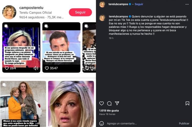 Cuenta de Instagram de Terelu Campos.