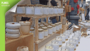 mercado de las ranas