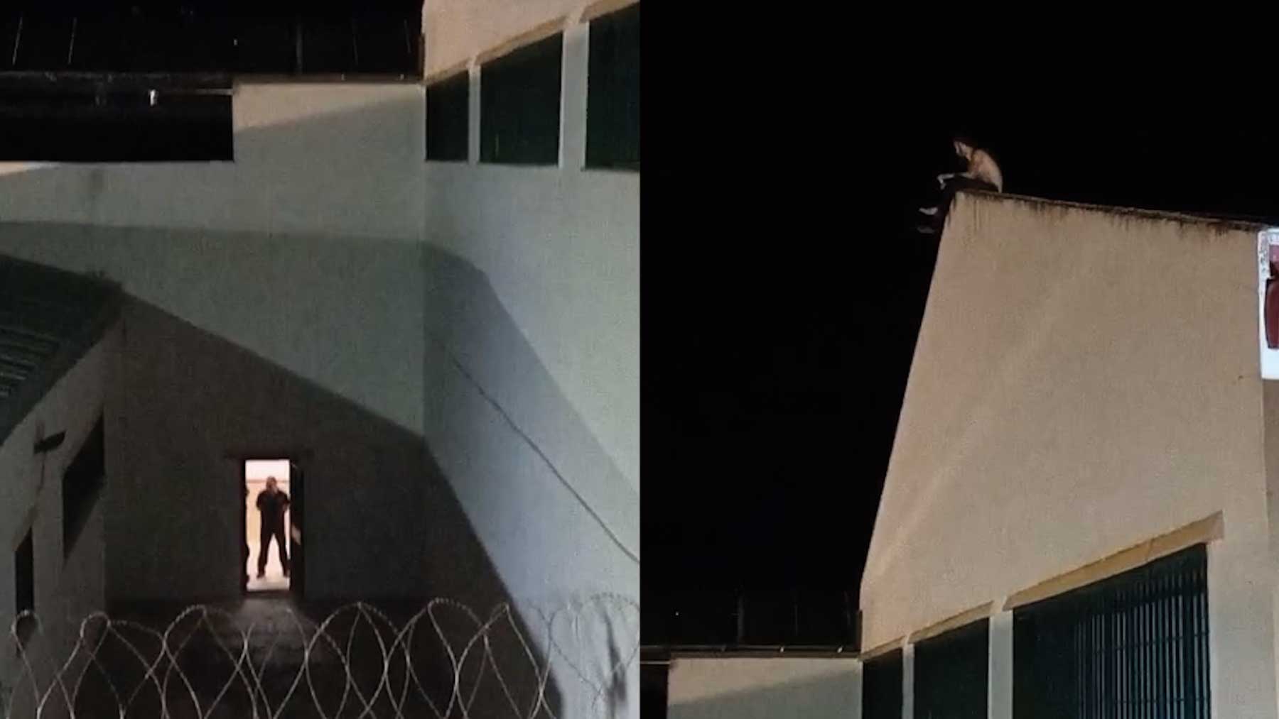 prisonbreak-ok