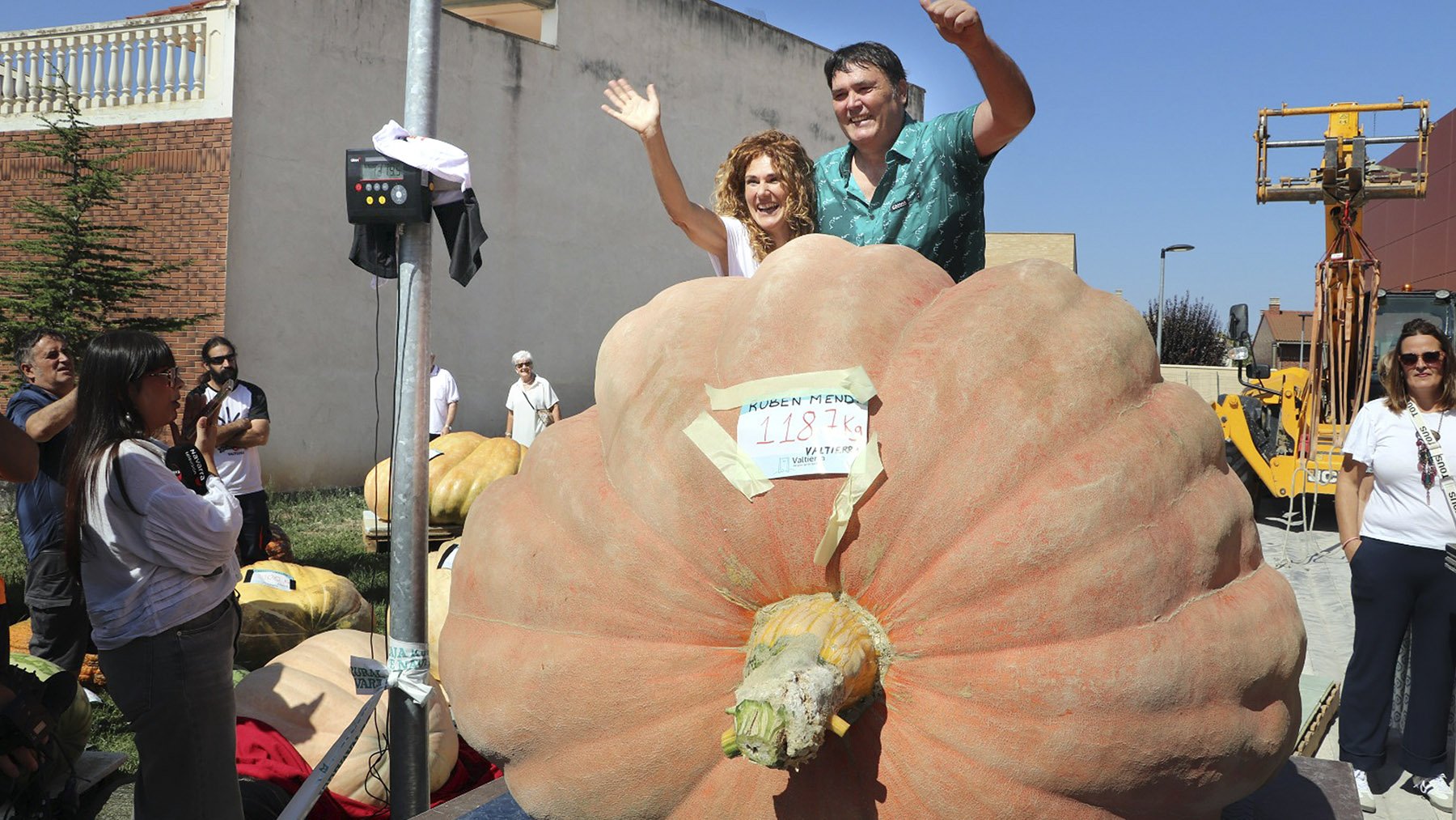 Parece IA pero es real: un agricultor navarro cultiva la calabaza más grande de España, y pesa más que un coche