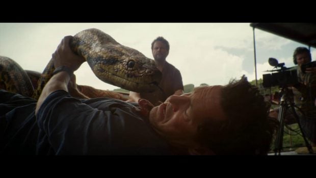 Anaconda