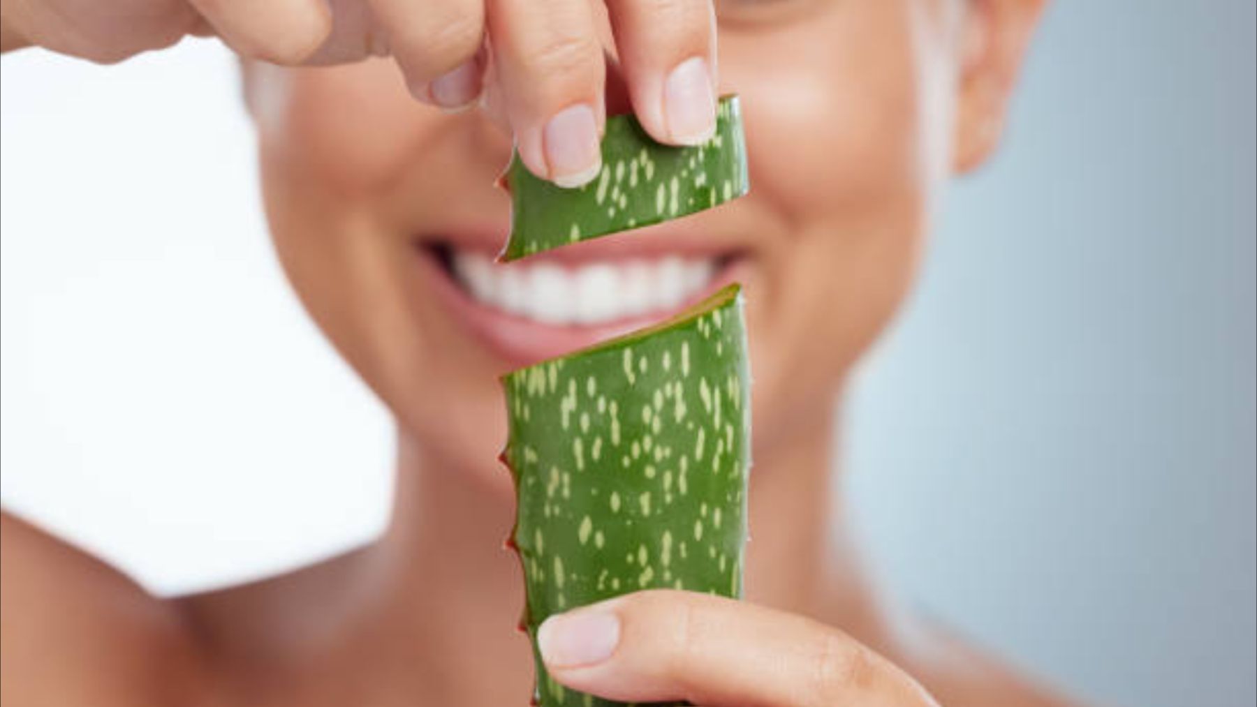 Así puedes hacer una crema facial casera para producir colágeno con aloe vera