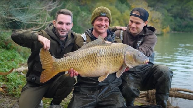 Pescador captura una especie invasora en Aragón, pescador aragonés y carpa gigante, por qué la carpa es una especie invasora.
