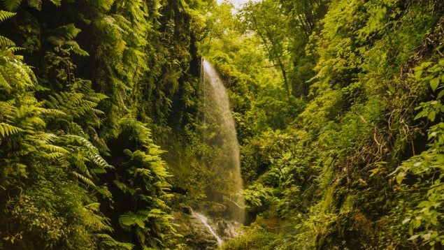 Hawái