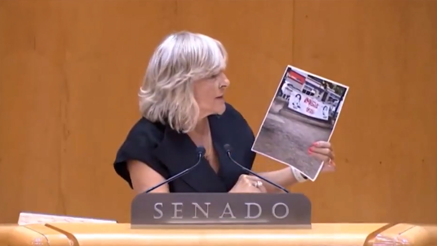 María Caballero, senadora de UPN.
