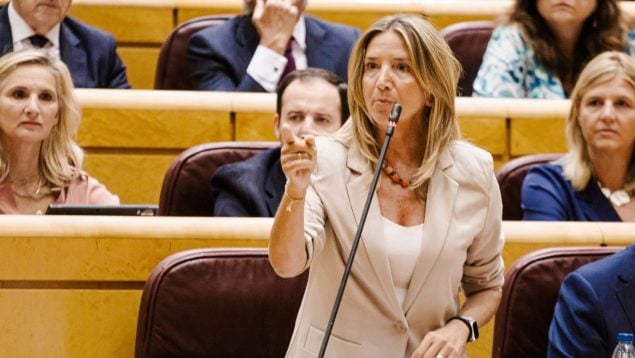PP, Partido Popular, PSOE, Ministerio de Igualdad