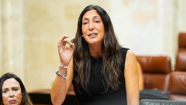 Andalucía censura la chapuza de las pulseras antimaltrato: «La igualdad no sólo se grita, se trabaja»