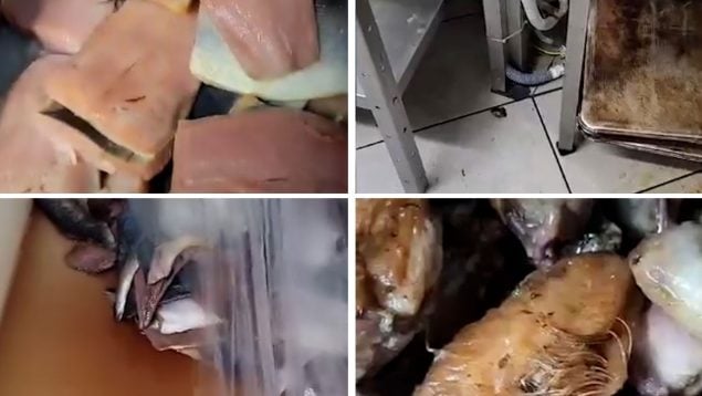 Ver vídeo