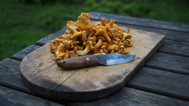 Soy cocinero y esta es la mejor forma de hacer los níscalos y seguir la tradición catalana: te chuparás los dedos