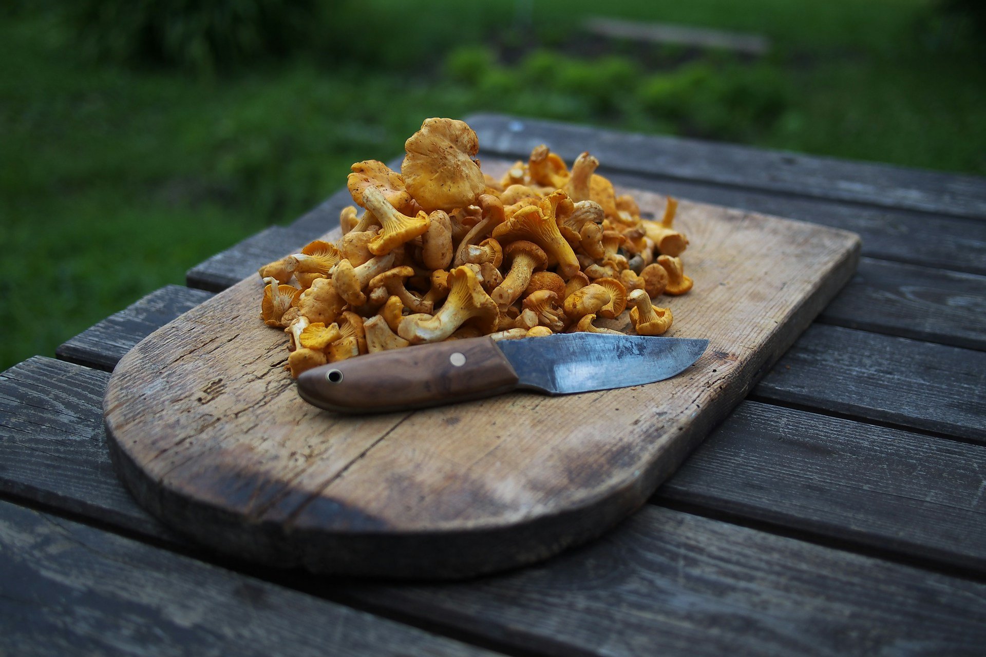 Soy cocinero y esta es la mejor forma de hacer los níscalos y seguir la tradición catalana: te chuparás los dedos