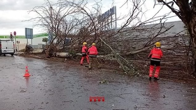 desaparecidos Barcelona