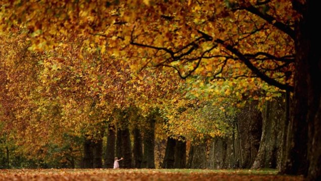 apps para afrontar el otoño