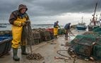 Pescadores, animales, pulpo