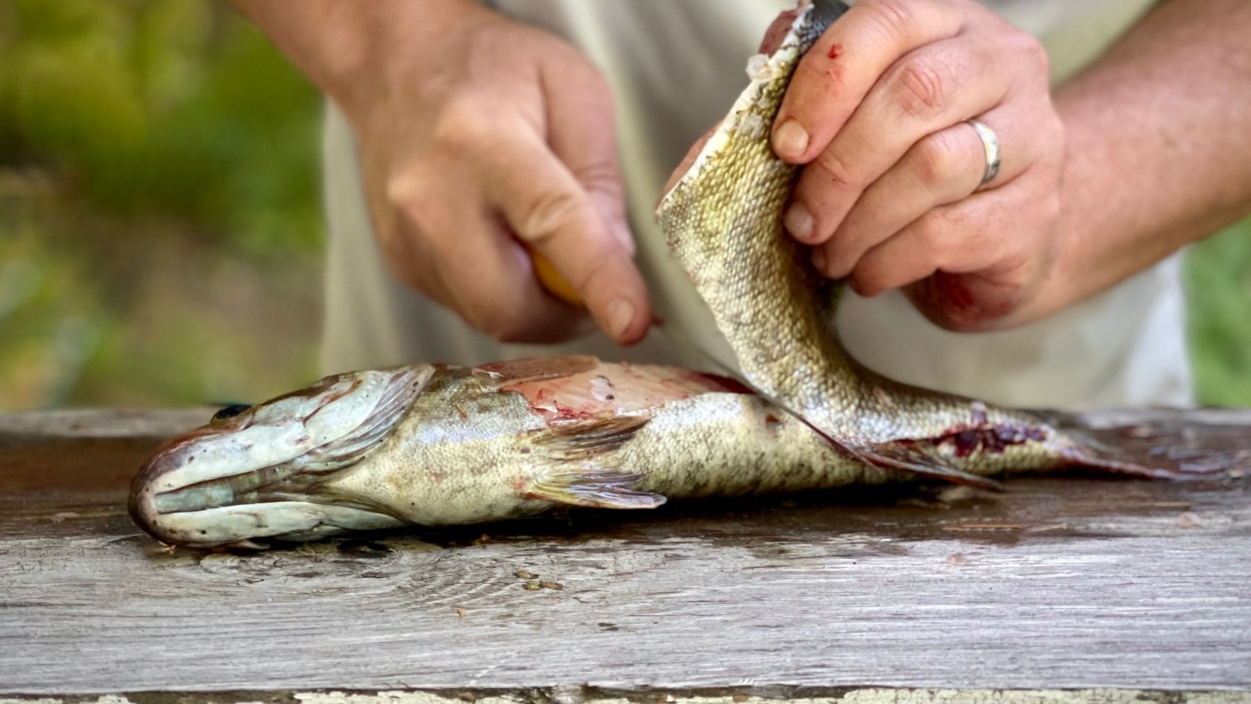 Soy chef y éste es el mejor truco para limpiar el pescado: fácil y rápido