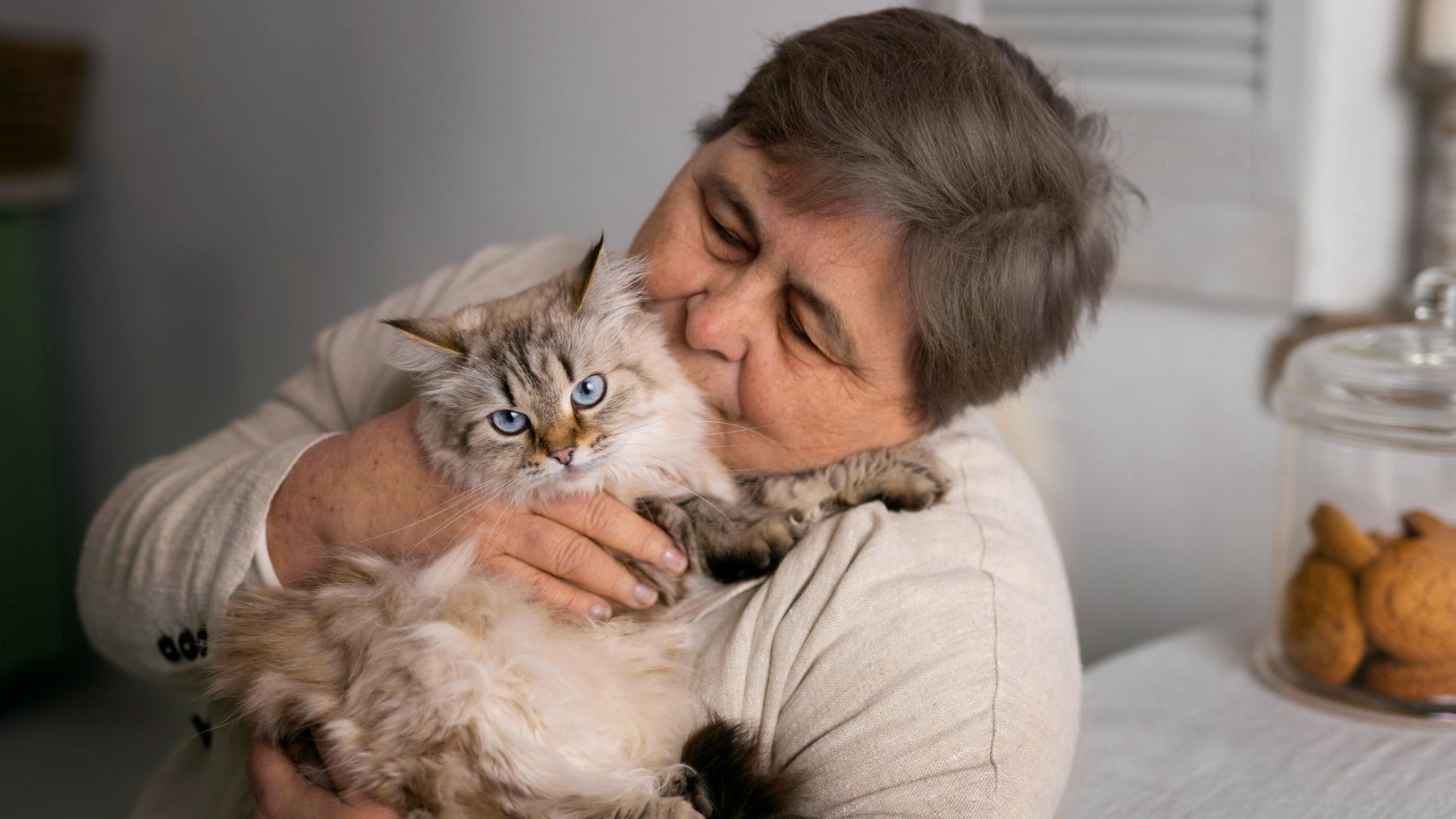 Soy veterinario y éste es el top 10 de cosas que jamás deberías hacer con tu gato