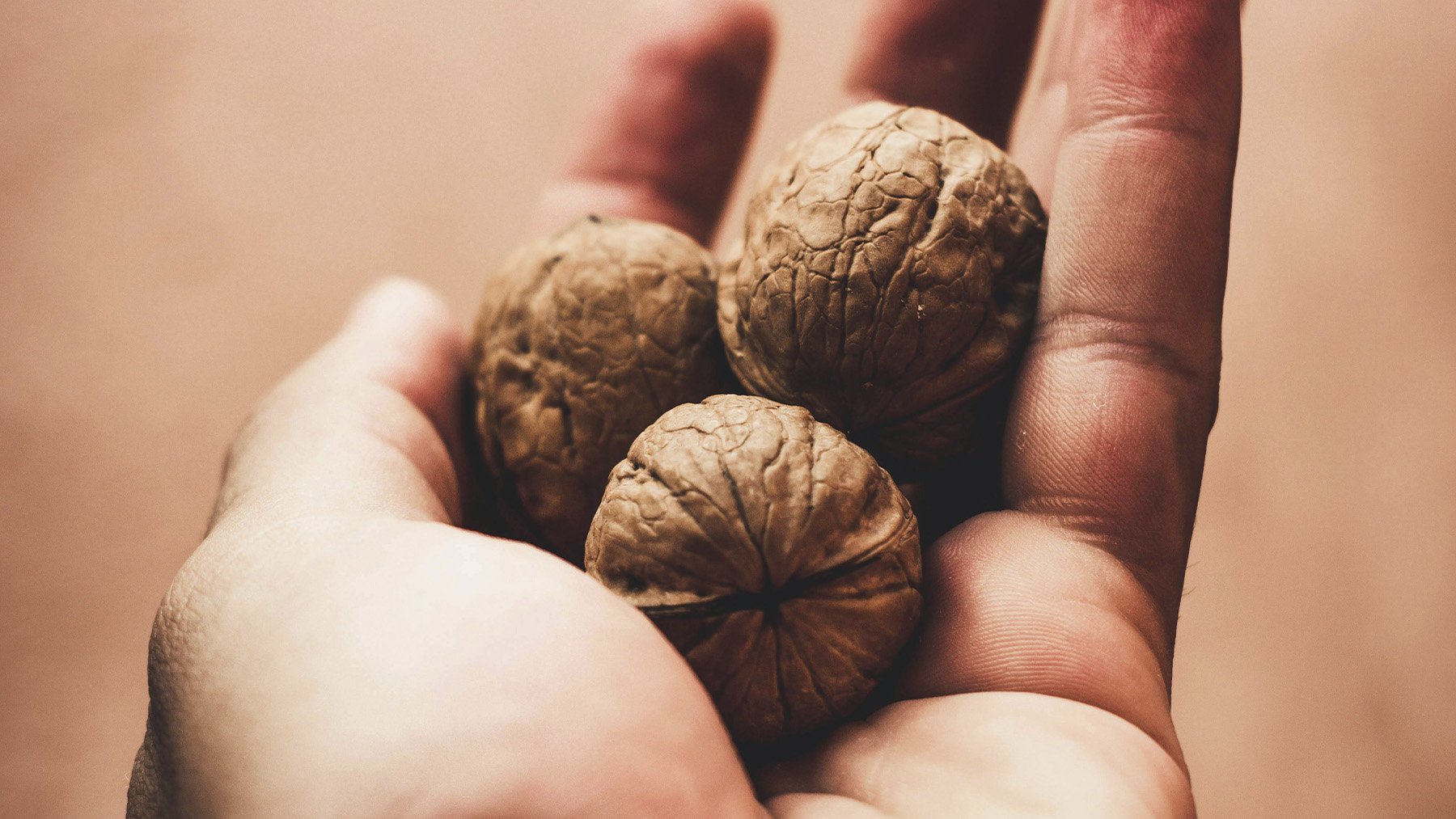 Nueces. Foto: Pexels.