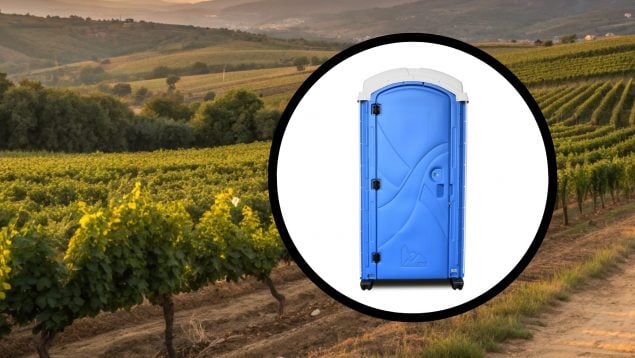 viñedo, baño, Galicia