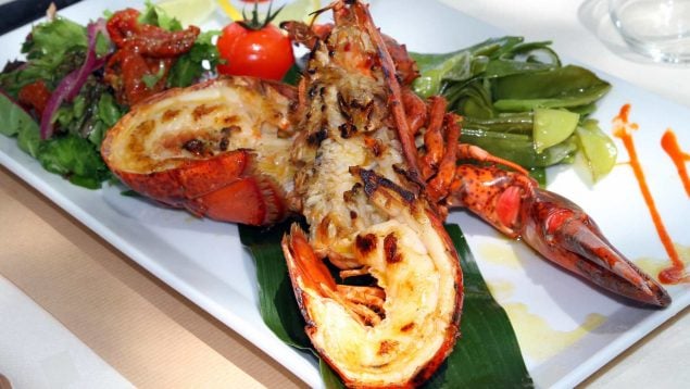 Receta de bogavante