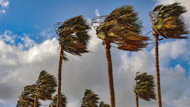 viento Comunidad Valenciana