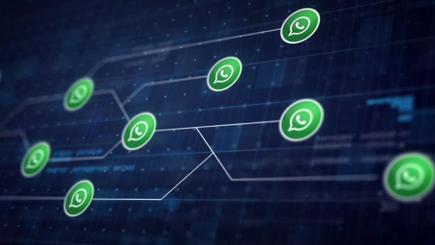 WhatsApp truco
