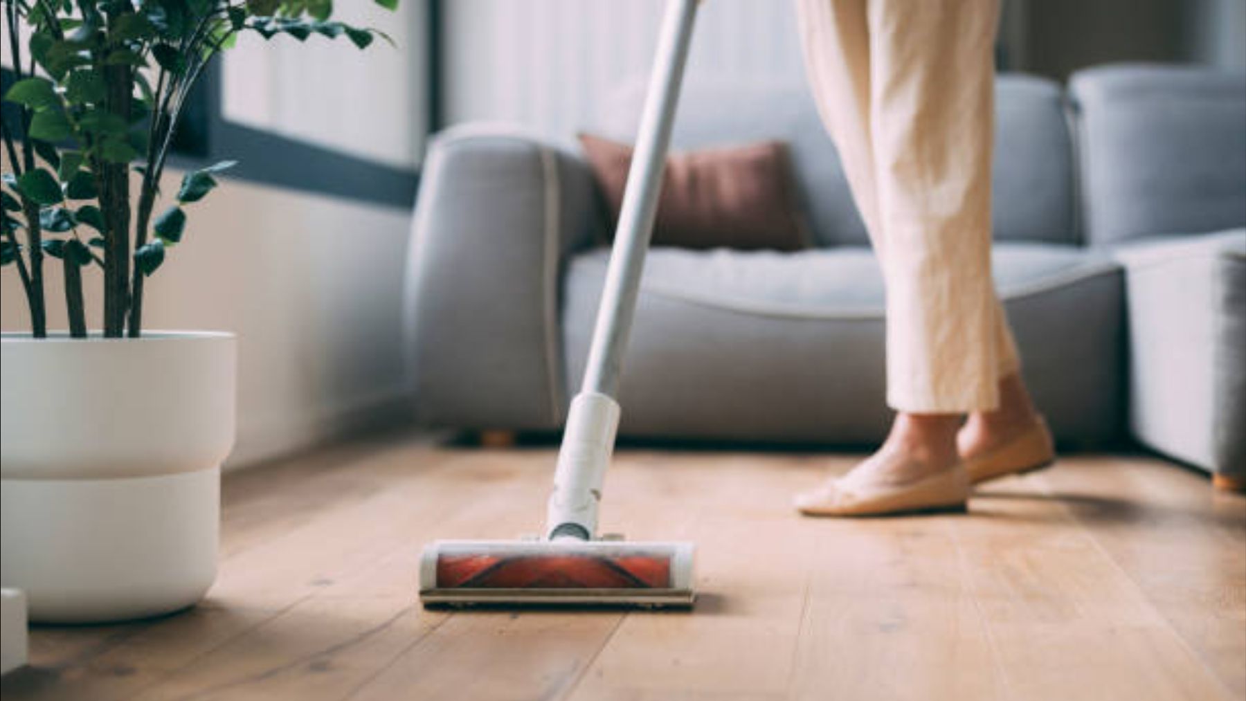 Lidl se la juega a Dyson: el nuevo aspirador sin cable que es el clon del más famoso y está a precio de saldo