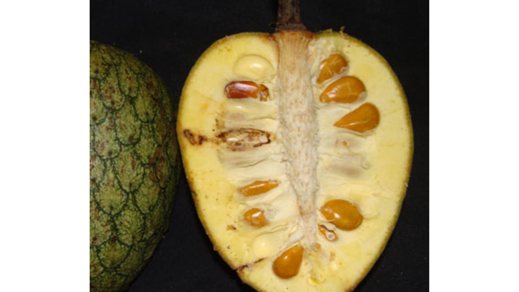 Fruta, alimentos, alimentación, salud