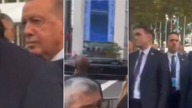 Ver vídeo