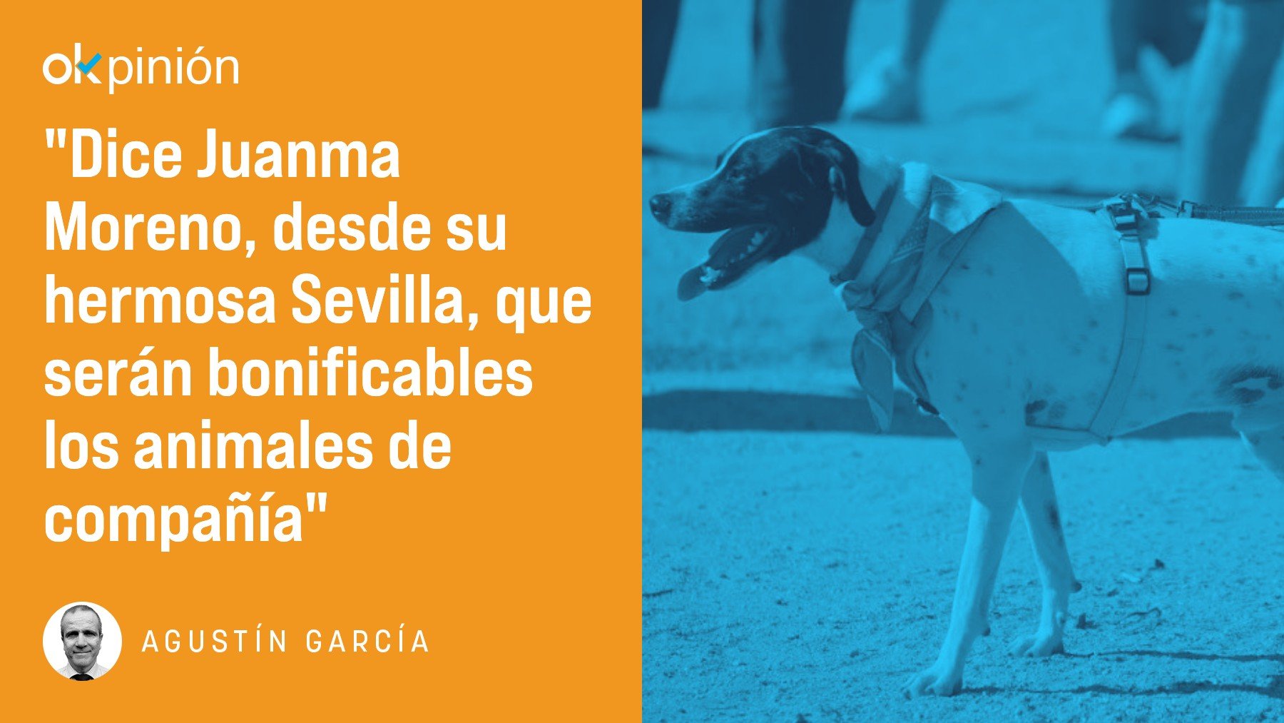 ¿Qué será lo siguiente? Romance para Juanma